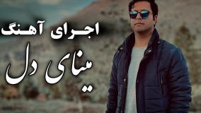 مینای دل/محمد تقاضائی