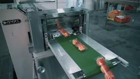 دستگاه بسته بندی کاپ کیک، بسته بندی شکیل انواع کیک های کوچک