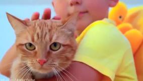 برنامه کودک ماشین بازی با سنیا : بنزین زدن به ماشین و موتور سواری!