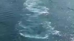 قدرت نمایی ارتش چین مقابل تنگه تایوان | آیا این کار مقدمه جنگی تمام عیار است | 20 تیر 1404