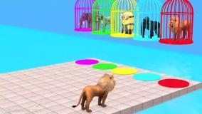 ماشین بازی جدید - ماشین بازی رنگارنگ - برنامه کودک وسرگرمی