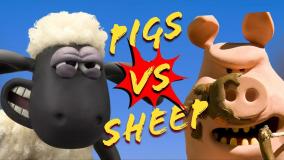 بره ناقلا طولانی ماجرای صاحب مزرعه