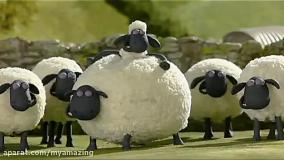 بره ناقلا | بره زبل | برنامه کودک گوسفند زبل