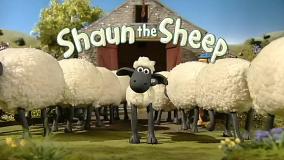 بره ناقلا (کمپینگ گوسفندی)