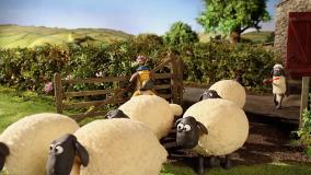 بره ناقلا (چرخ)