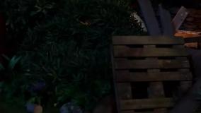 کارتون طولانی بره ناقلا , انیمیشن بره ناقلا جدید , کارتون بره ناقلا قسمت جدید