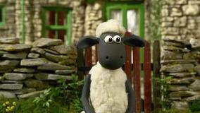 بره ناقلا (بیتزر)