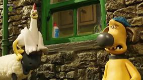 بره ناقلا (یک روز بد برای موها)