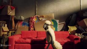 دانلود برنامه کودک بره ناقلا - انیمیشن خنده دار بره ناقلا - کارتون بره ناقلا