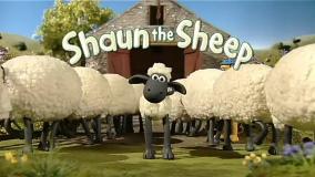 بره ناقلا (تمیزکاری)