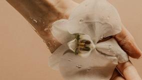 انواع روش های روشن کردن ناحیه بیکینی :