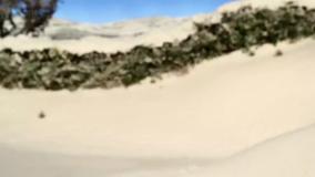 بره ناقلا (برف)