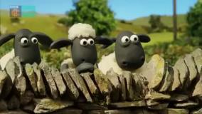 بره ناقلا (برادرزاده مزرعه دار)