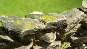 بره ناقلا - کارتون بره ناقلا طولانی - بره ناقلا جديد - انیمیشن بره ناقلا (89)