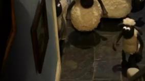 بره ناقلا جدید - کارتون بره ناقلا - انیمیشن بره ناقلا - بره ناقلا