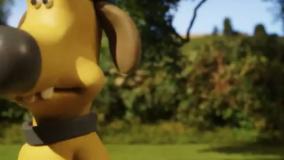 بره ناقلا (نگاه خیره)