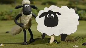 بره ناقلا (هواخوری گوسفندی)