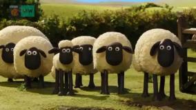 بره ناقلا (چک لیست)