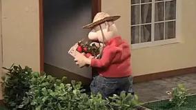 کارتون پت و مت جدید پت و مت