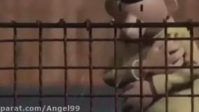 کارتون پت و مت قسمت 1