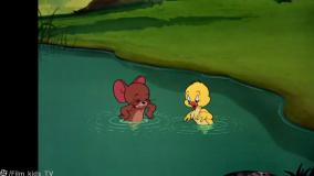 انیمیشن تام و جری | مجموعه کارتون موش و گربه