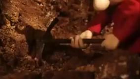 پت و مت (فصل 5 - قسمت 11)