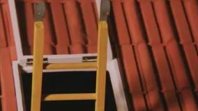 پت ومت _انیمیشن پت و مت _کارتون پت ومت