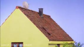 پت ومت | کارتون پت ومت |کارتون جدید | انیمیشن پت و مت | پت و مت جدید