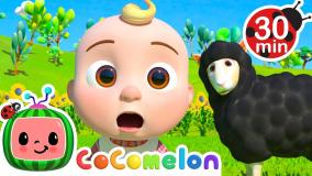 کوکوملون آموزش زبان انگلیسی برنامه کودک cocomelon آموزش زبان انگلیسی