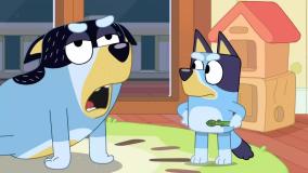 Bluey کارتون بلویی - تفریح با خانواده - انیمیشن آموزش زبان انگلیسی کودکان