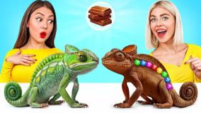 چالش غذای خنده دار خانم صورتی و آقای آبی | چالش خوراکی دو نفره بانوان سرگرمی