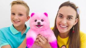 برنامه کودک ولاد و نیکی پیشی و هاپو کوچولو | کارتون نیکیتاشو بازی و سرگرمی