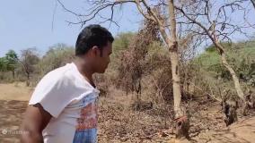 تبدیل شدن به هالک در واقعیت ، ابرقهرمانان در واقعیت ، مرد عنکبوتی و هالک