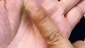 آموزش ساخت لاکپشت