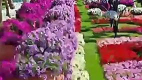 دعایی برای سلامتی همه | دعا برای شفای مریض ها