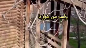 خانه داریوش