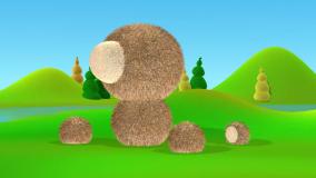 تو تی تو - خرس