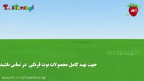 تو تی تو در سفر جادویی - آشنایی با هواپیما | توت فرنگی