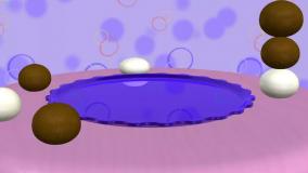 تو تی تو - کیک تولد