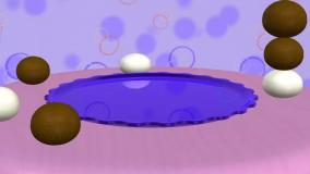 کارتون تو تی تو TuTiTuTV - فصل 3 قسمت 2 - کیک تولد