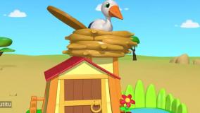 کارتون تو تی تو _پرنده