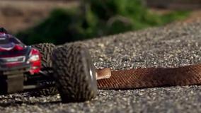 مار زنگی و ماشین کنترلی