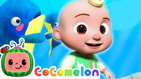 کارتون کوکوملون/ انیمیشن کوکوملون/ برنامه کودک کوکوملون/ کوکوملون جدید