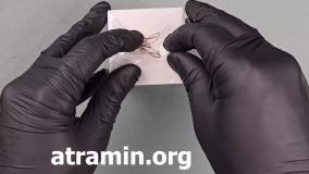 آنباکسینگ عطر فنک رشید در عطرآمین