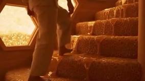 تست شخصیت شناسی در معماری