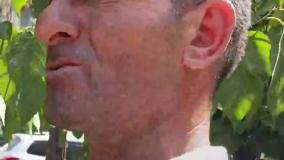 گفتگو با برادر قاتل الهه حسین نژاد/ بخاطر معلولیت 80 درصدی من او را ببخشید!