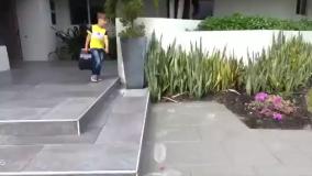 دیانا و روما جدید برنامه کودک دیانا و روما دیانا شو کارتون دیانا و روما