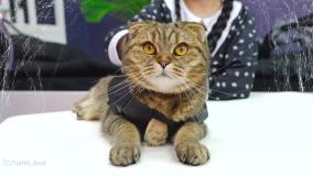 دیانا و روما 2023 | دیانا شو جدید | برنامه کودک دیانا و روما