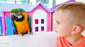 ولاد:: ولاد و نیکیتا:: ولاد و نیکی جدید:: برنامه کودک ولاد و نیکی::ولاد نیکیتا