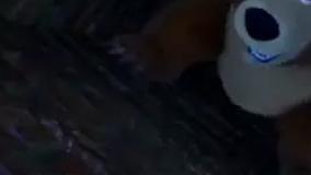 ماشا و میشا جدید دوبله فارسی (یک ساعته)